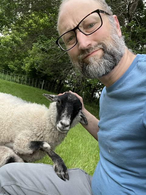 Sheep puts its front hoof on the shepherd’s knee. 